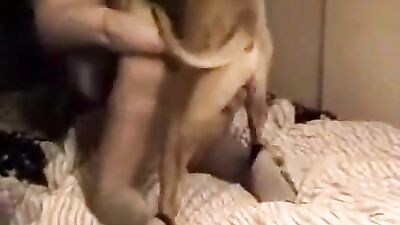 Daring Doggy Defilement - Blonde Bimbo Takes Fidos Fierce Rod