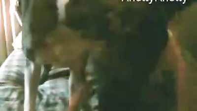 Knotty fuck dog
