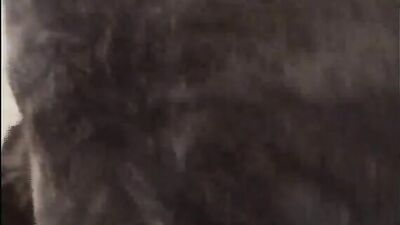 Girl Dog Sex 0_1__1_