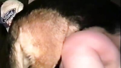 Ginger loves Dog