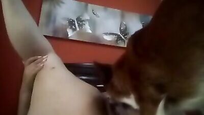 Moans when licked