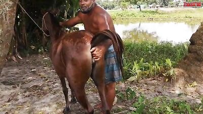 anus clitoris filly fist fisting tail mare