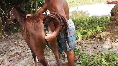 anus clitoris filly fist fisting tail mare