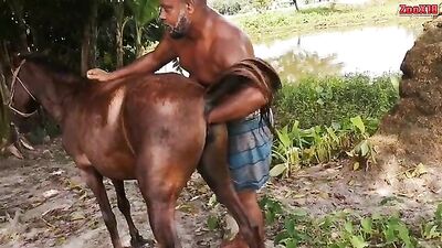 anus clitoris filly fist fisting tail mare