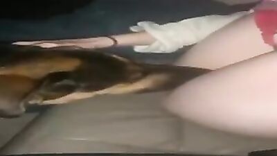 Aaiii
