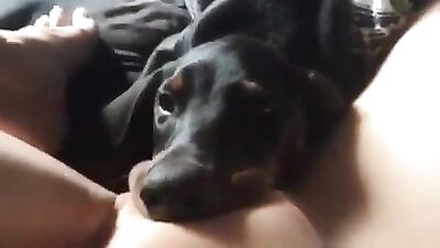 Filthy Foursome: Whore Takes Dogs Cock While Getting Banged