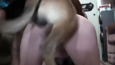 Wife fucks our dog at home