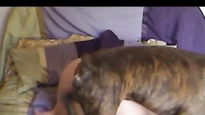 Trying out a boxer