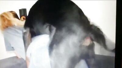 Wifes Secret Fling: Doggy Style with the Family Pet