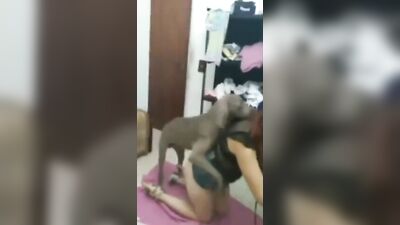 Teenie fucking her dog