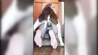 Home dog fuck wife