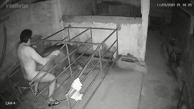 Private Ashleys Kissy Dog Surprise
