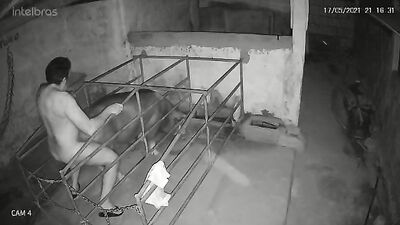 Private Ashleys Kissy Dog Surprise