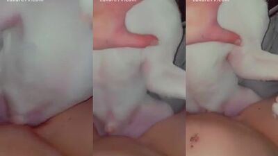 Quick rub