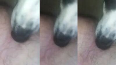 Lily licks my asshole
