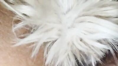 Thailands Cutest Threesome - Luscious Lady Loves Canine Licking