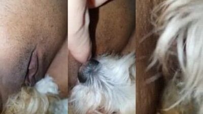 Licking Thai Cuties Pussy Like a Hungry Dog