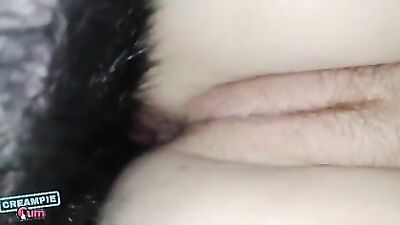 Lucky Hounds Pup Play Session