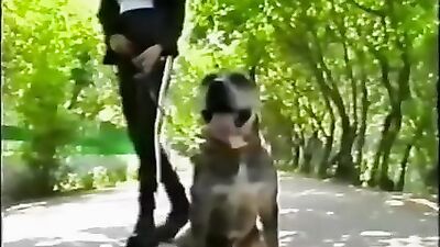 salopes et dog