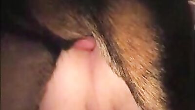 Rotti well knotted bitch named Armands Lusis from Latvia enjoy this