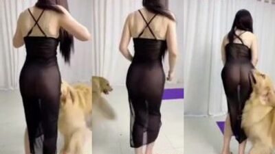 Chinese girl friend love my doggys dick