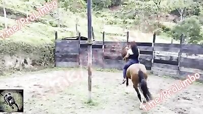 Teaching my Friend Horse vid
