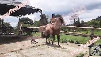 New Horse Sexy Racheal