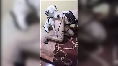 FREAKY FUCKING EXPERIENCE WITH A DOG THAT WANTS IT