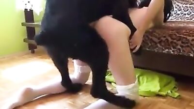 Hot brunette in stockings goes wild with a mutt