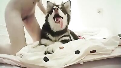 Asian hottie masturbates after getting licked by her dog