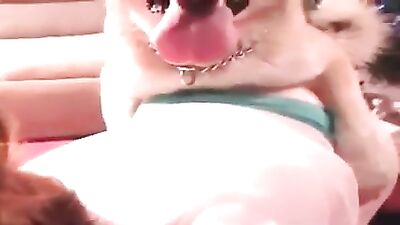 TUBBY GAL GETTING POWER FUCKED BY TWO DOGS AT ONCE