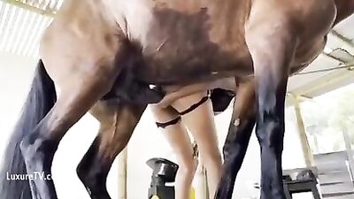 Teen fucked hard by Stallion