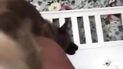 Black stockings hottie riding a dogs hard cock