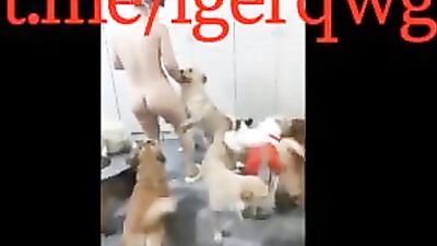 My China wife love dogs so much