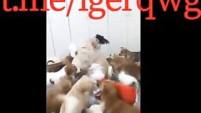 My China wife love dogs so much