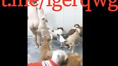 My China wife love dogs so much