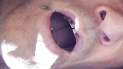 En boca cerrada noentran moscas. ¡En mi boca abierta se vuelven locas!