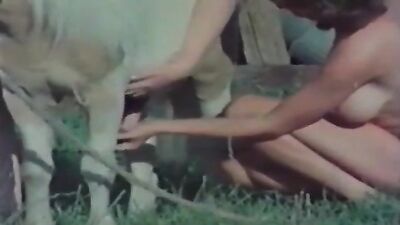 teen zoo