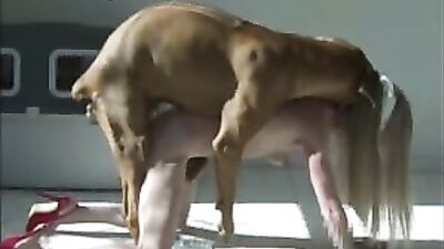 Perfect blonde with high heels in: 4 cams porn