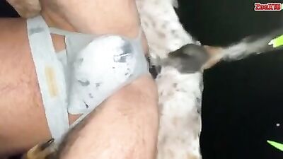 Amigo, haz un nudo en el gay.