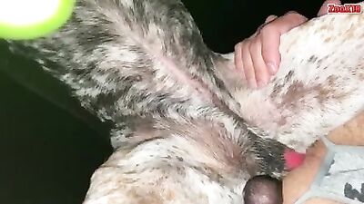 Amigo, haz un nudo en el gay.
