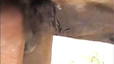 Forbidden Threesome - Girl Seduces Horse While Man Watches