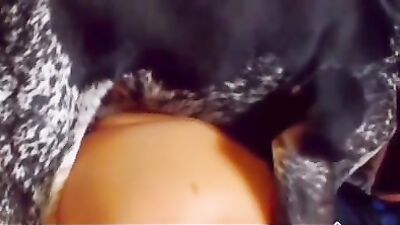Razas-de-sabuesos-y-nudos
