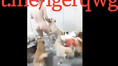Knotting Canine Devours Slutty Threesome