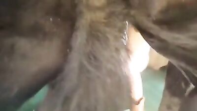 Boots-wearing babe getting fucked from behind