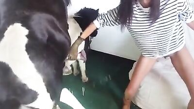 Boots-wearing babe getting fucked from behind