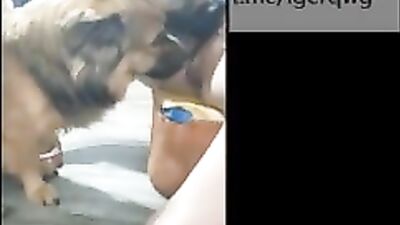 Many dogs sucking&fuck chinese girls secret part