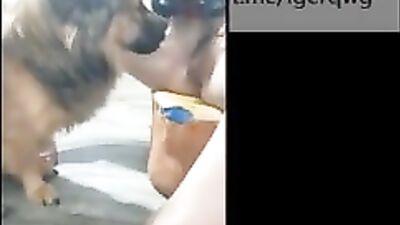 Many dogs sucking&fuck chinese girls secret part