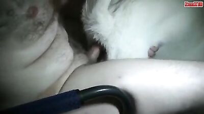 Hombre se folla a su perro