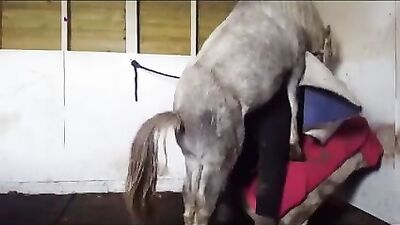 Grannys Naughty Surprise with Hung Stallion